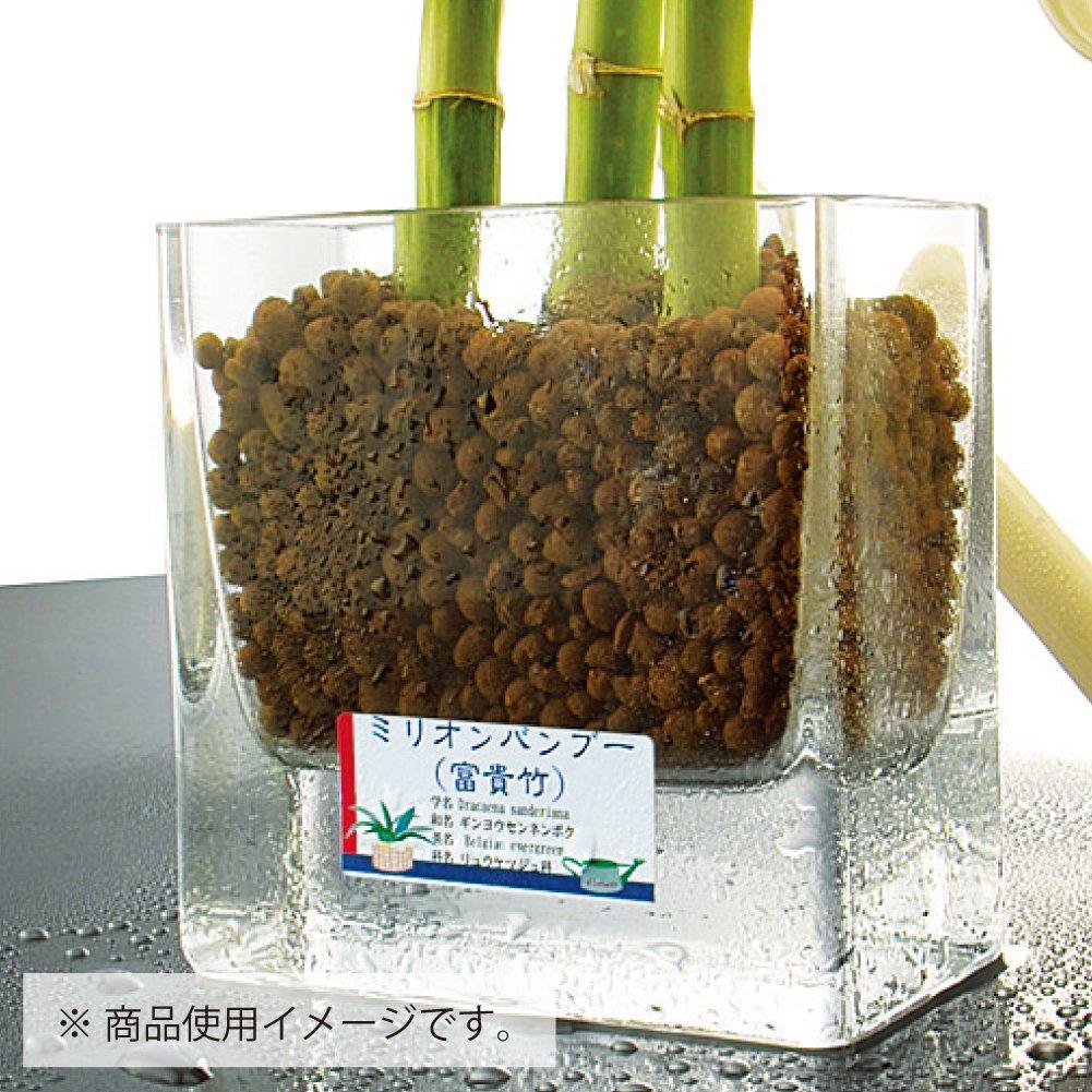 KOKUYO Цветная лазерная цветная водостойкая этикетка для копирования, 8 сторон, 20 листов LBP-WP6908N