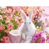 5D DIY Diamond Painting Full Round Cross Stitch Handmade Diamond Embroidery Flower Rabbit Home Decor