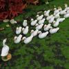 Handmade Mini Duck Statue Cute Micro Landscape Decoration White Duck Ornaments  Home Decorations