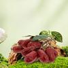 Красные финики Искусственные инжиры 1 гирлянда Реалистичные украшения из зизифуса Модель искусственных фруктов для украшения вечеринки Реалистичные поделочные украшения Капуста Апельсины Сушеные