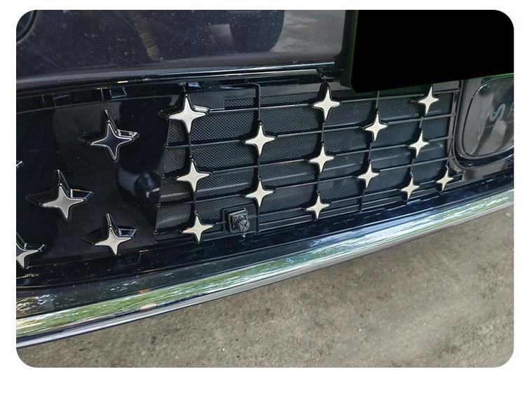 Zhiji LS6 Full Star Insect Net Radiator Protector for 26 Models