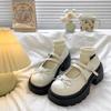 2025 Summer New Shallow French Retro Thick Heel Platform Small Leather Shoes Single Shoes Fashion Round Head Mary Jane Single Shoes Women