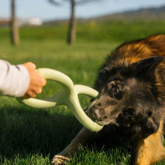 Dog Tug Toy Interactive Dog Tug-of-War Toy Heavy Duty Chew Toy Teeth Cleaning Toy for Aggressive Chewers Small To Large Dogs Indoor Outdoor Play