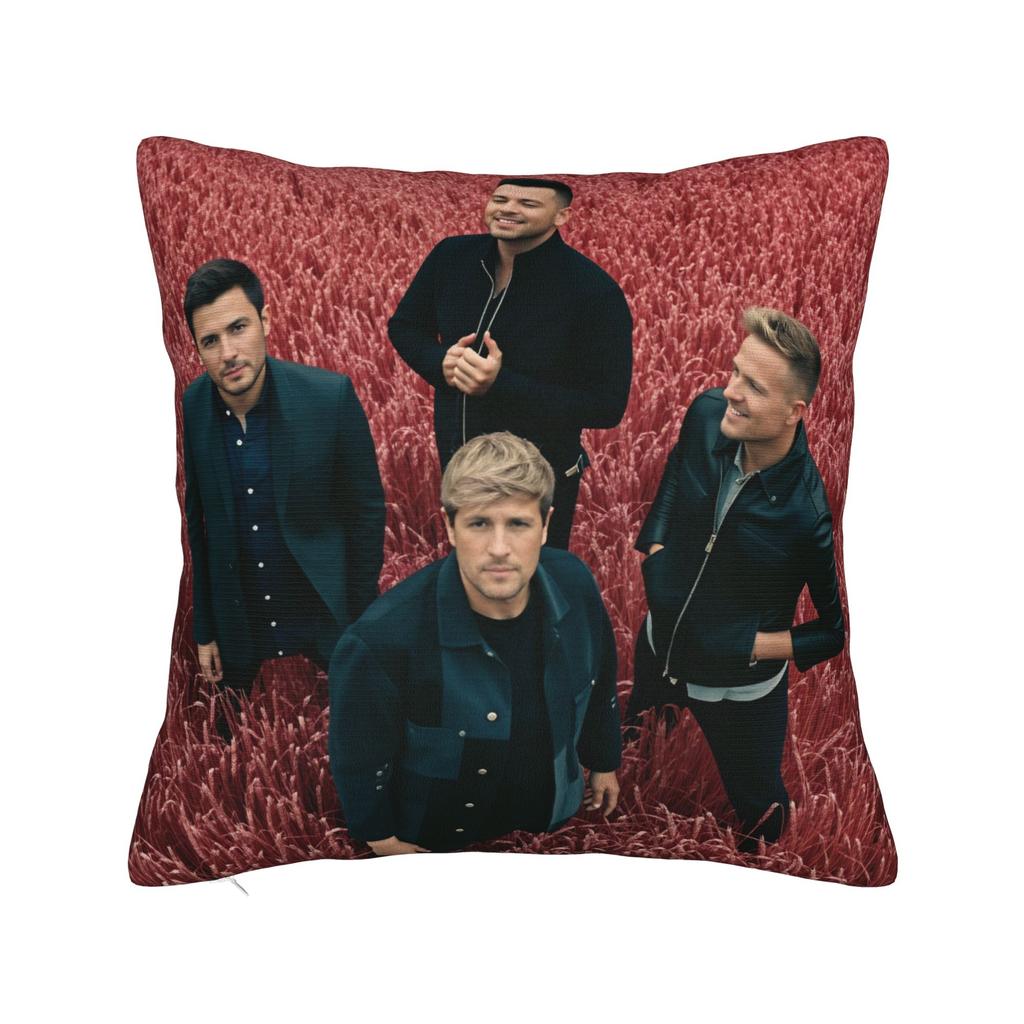 Westlife Boys Pillowcases Cute Funny Pillow Case For Sofa Couch Bed Living Room Comfy Pillow Cover