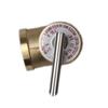 1/2" 3/4“ TP Valve Temperature and Pressure Relief Valve AKE as TP Safety Valve for Solar Water Heater Pressurized WaterTank