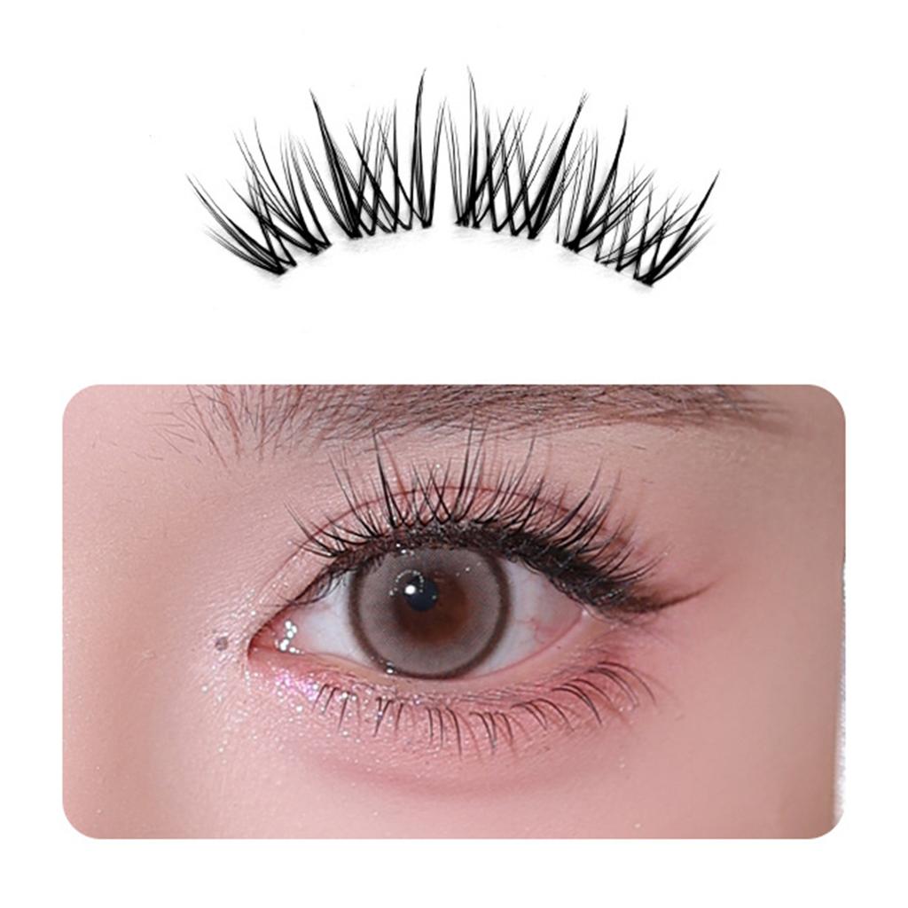 Natural Look False Eyelashes Lightweight Comfortable to Wear Synthetic Fiber Lashes for Daily and Party Makeup
