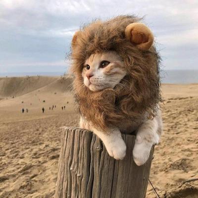 Модный Костюм Грива Льва Парик Аксессуары для Одежды Одежда для Животных Косплей Теплый Худи для Маскарадной Вечеринки Собаки Хэллоуин