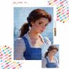 Belle Diamond Painting Art Mosaic Kit Handmade diy5D Home Decor Gift