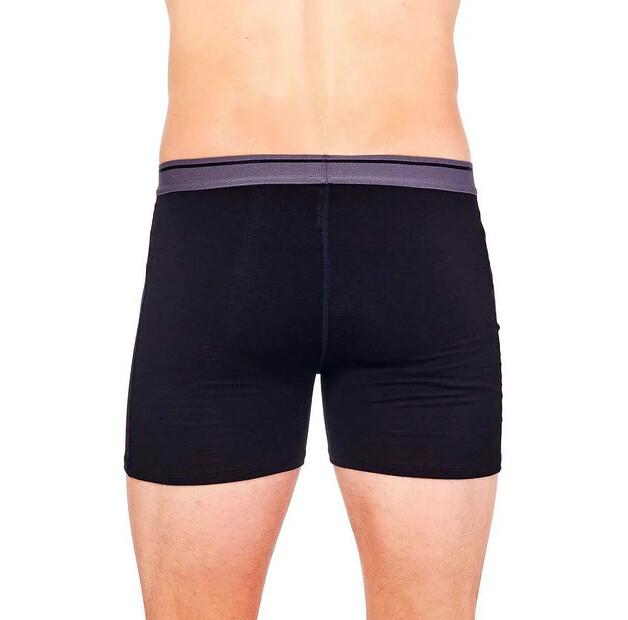 Icebreaker Anatomica Fly Boxer Briefs