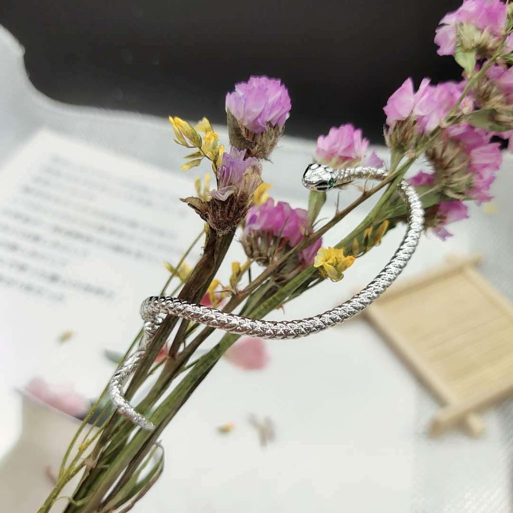 Новые европейские и американские модные популярные серьги в форме змеи, подчеркивающие индивидуальность, зажим для ушей, женский подарок, левые и правые серьги