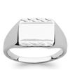 Silver Men's Signet Ring 'Charles' Silver (rhodium) - 11x12 Mm