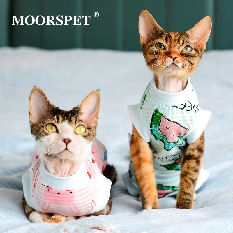 Жилет MOORSPET для кошек породы сфинкс, весна/лето - легкий хлопок, защита живота, дизайн с четырьмя лапами для лысых кошек
