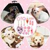 14 Pack Puppy Teething Toys, Chew Toys for Small Dogs Puppy Toys Pink Dog Stuff with Soft Rubber Balls and Colorful Ropes for Small Breed Interactive