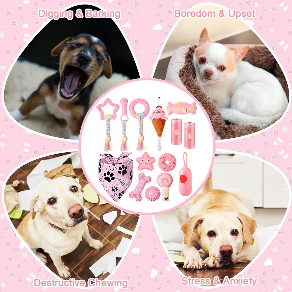 14 Pack Puppy Teething Toys, Chew Toys for Small Dogs Puppy Toys Pink Dog Stuff with Soft Rubber Balls and Colorful Ropes for Small Breed Interactive