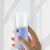 Mini Travel Steamer Cordless Lightweight USB Rechargeable Portable Handheld Steamer for Easy Refill Micro-Particle Mist Skin Hydration