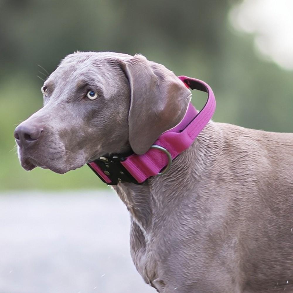 Explosion-Proof Training Harness Pull-Resistant Pet Collar Durable Dog Harness Training