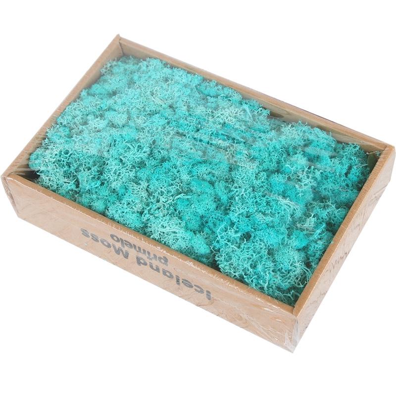 Preserved Flower & Moss Wall Decoration Kit: Flower Gift Box Materials