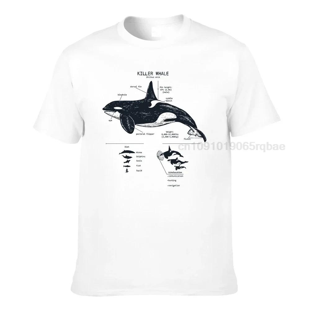 Killer Whale Anatomy Tshirt Orca Whale Shirt Marine Biology Wildlife Tshirt Beach Shirt Marine Biologist Wildlife Tshirt
