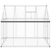 Greenhouse with Foundation Frame Silver 224 x 169 x 195 cm Aluminum