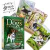Magical Dogs Tarot Reading Japanese Instruction Manual Authentic Tarot 78 Dog Cards Tarot, Instructions, Included, Cards,