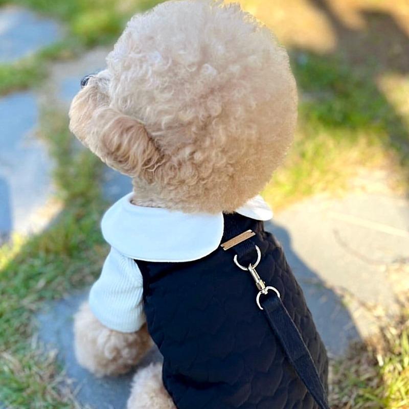 Maltese Cotton Coat Skirt Winter Pet Couple Outfit Warm Dog Clothes for Teddy Dogs Pretty Princess Dress Dog Stuff