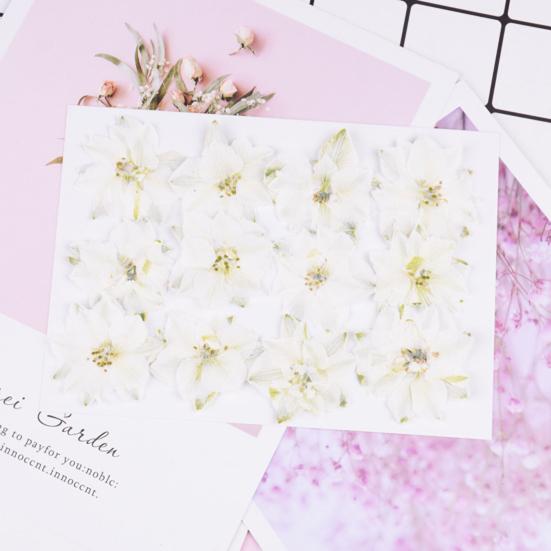 12Pcs Dried Flowers Creation Epoxy Resin DIY Pressed Long-lasting Dried Flowers