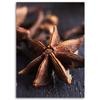 Canvas Print Aniseed Spice Nature