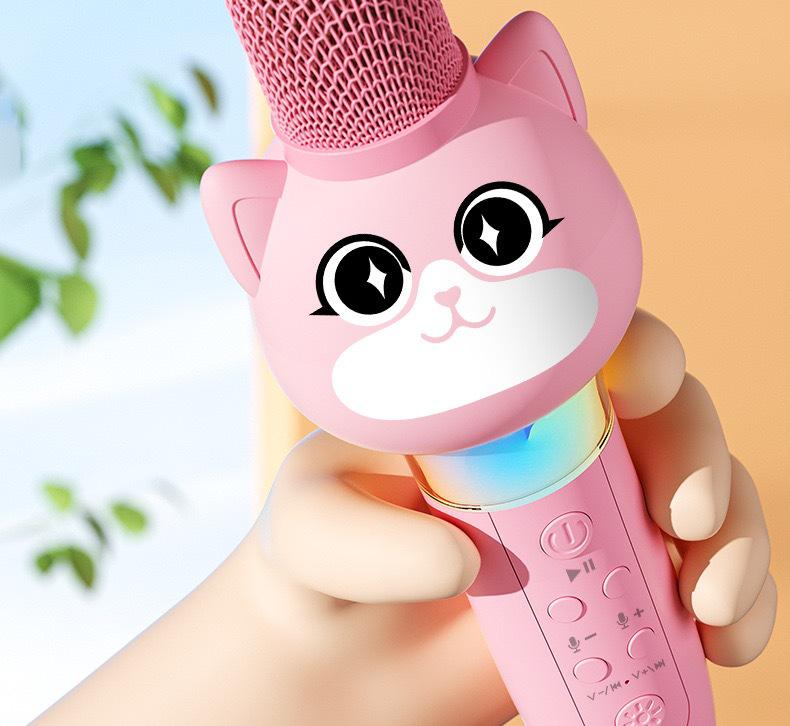 Wireless Kids' Karaoke Microphone & Speaker: Echo, Singing, & Early Education Toy for Little Girls