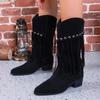 New Women Vintage Fringe Boots Low Chunky Heel Pointed Toe Winter Boots High Quality Female Western Cowboy Boots Platform Shoes