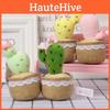 Cute Cactus Potted Plant With Lace Decoration Succulent Plush Pendant Toy