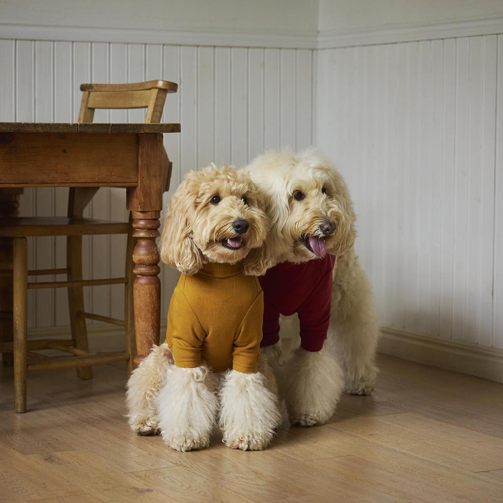 MANDARINE BROTHERS Basic Rib BASIC RIB Одежда для собак с рукавами Футболка ФУТБОЛКА (ГОРЧИЦА, XL)