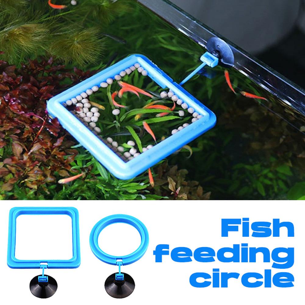 Square Pet Supplies Food Tray Feeder Food Floating Station Fish Feeder Buoyancy Circle Feeding Ring