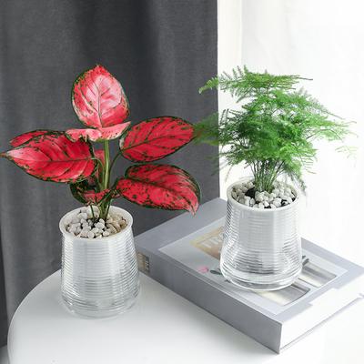 DIY ваза цветочный горшок настольные украшения двухслойные зеленые растения в горшках пластиковые украшения для дома
