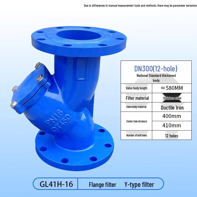 DN300 Ductile Iron Y-Type Flange Filter