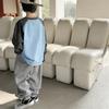 Новая весенне-осенняя футболка для мальчиков 2025 года, из чистого хлопка, с длинным рукавом