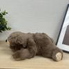 Cute Sales Plush Toy, Brown Bear, Medium, Z0378