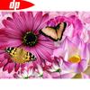 Diamond Embroidery Round Flower 5d Diamond Painting Butterfly Picture Of Rhinestones Diamond Art