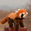 Cute Lifelike Raccoon Plush Toy Doll Wild Animal Models Children's Day Gift