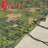 Yuanfeng Jielong Vegetation Camouflage Net