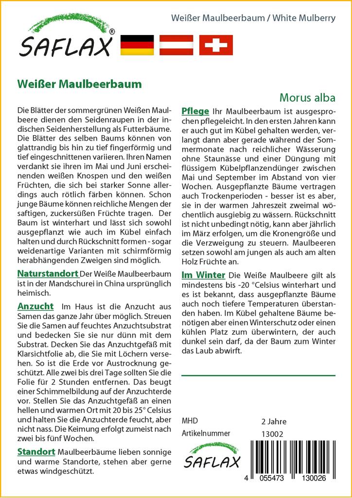 SAFLAX Шелковица белая - 200 семян - Morus alba