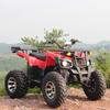 War God 150cc Gasoline ATV: Four-Wheeled All-Terrain Vehicle with CVT for Adult Venue Rental
