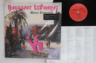 Виниловая пластинка BUCKSHOT LEFONQUE Music Evolution MOVLP344 MUSIC ON VINYL 2011 Европа Рэп Хип-Хоп R&B Б/у