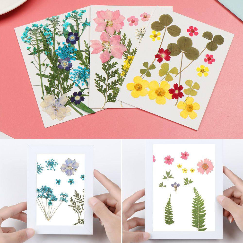 Filling Materials Jewelry Making Beauty Decal Resin Filler Resin Mold Filling Flower Dried Flowers