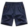 Men's Quick-Dry Ice Silk Breathable Sports & Beach Shorts
