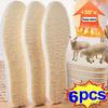 6pcs Thick Fleece Winter Insoles – Warm, Sweat-Absorbing, and Insulated for Snow Boots, Men and Women