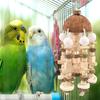 Жевательная игрушка для попугая, подвесная игрушка из скорлупы кокоса, натуральные деревянные блоки, клетка для попугая, укус