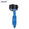 Ductile Iron Worm Gear Lug Type Butterfly Valve