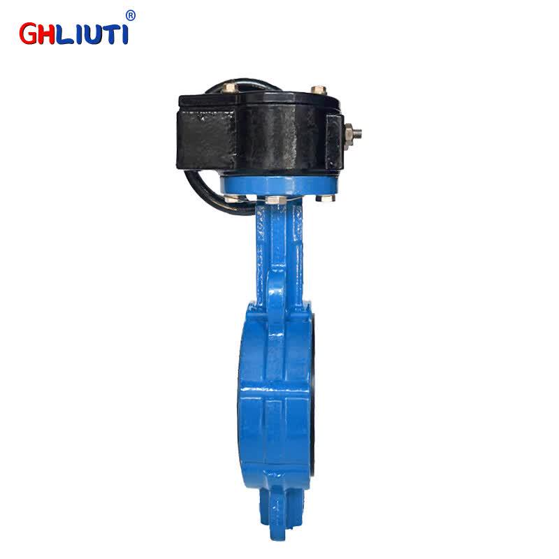 Ductile Iron Worm Gear Lug Type Butterfly Valve