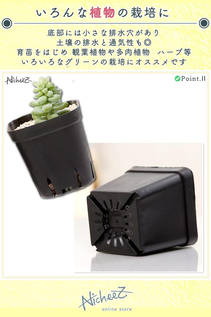 Nicheez Рассада цветов 50 штук горшки, горшки, кашпо, пластик, квадратные, черные,