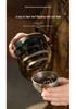 Tianqi Pure Titanium Liner Tea and Coffee Infuser Pot